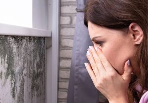 Microbiology Identification Services